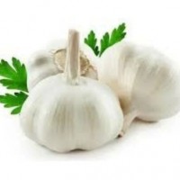 LavenderMart Garlic (China)