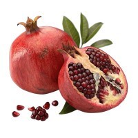 LAVENDERMART IMPORTED TROPICAL FRUITS METULLA (INDIA) PER KG
