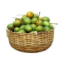 LAVENDERMART TROPICAL FRUITS (LOCAL) MANGO HIMSAGOR PREMIUM 250GM+/PC/KG PER KG
